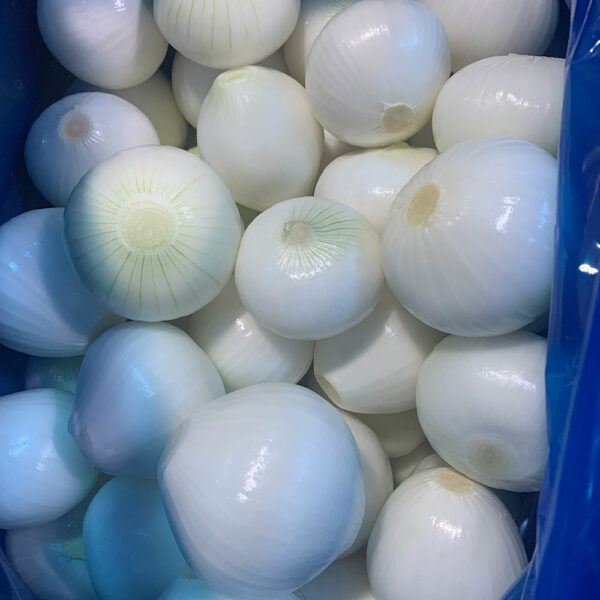 China Fresh Onion For Sale