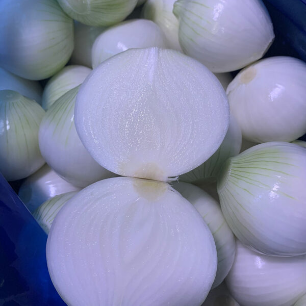 China Fresh Onion For Sale