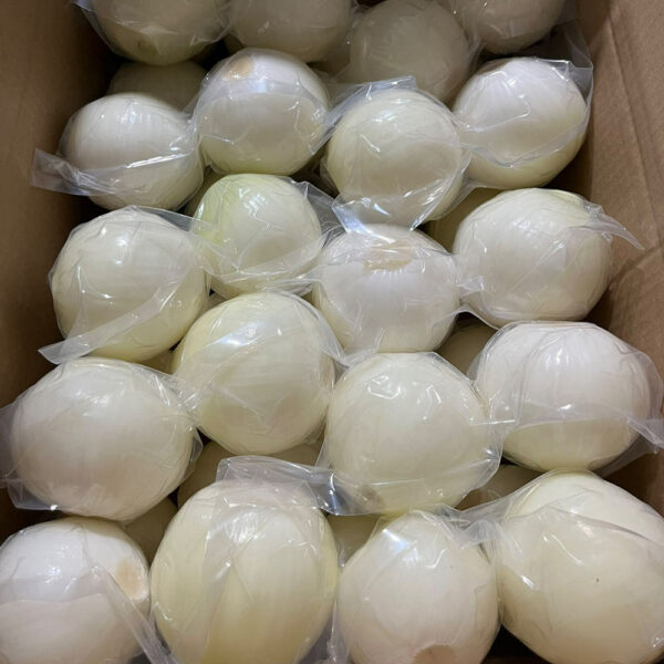 China Fresh Onion For Sale