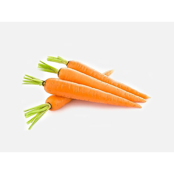 China Fresh Carrot For Sale