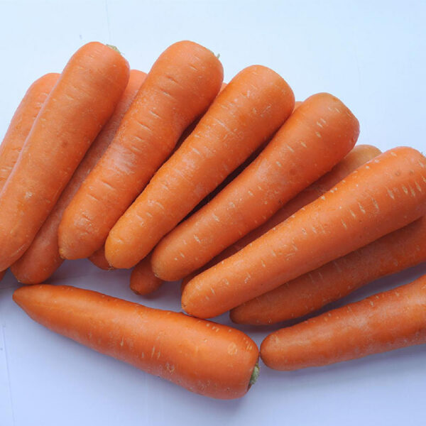 China Fresh Carrot For Sale