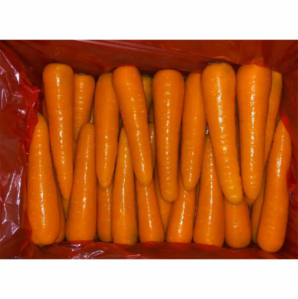 China Fresh Carrot For Sale