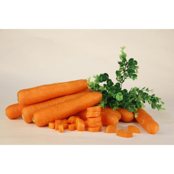 China Fresh Carrot For Sale