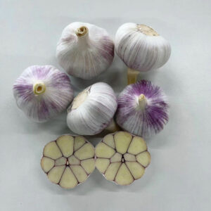 China Fresh Garlic For Sale