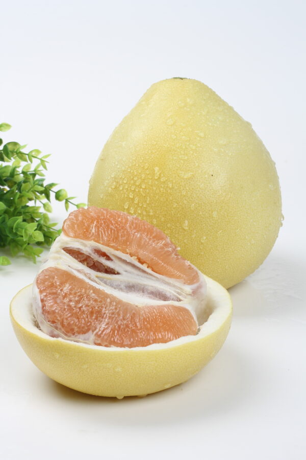 China best pomelo