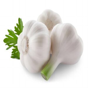 pure white garlic